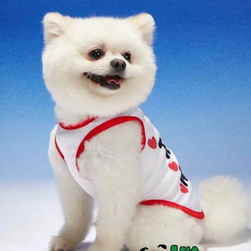Camiseta para mascotas