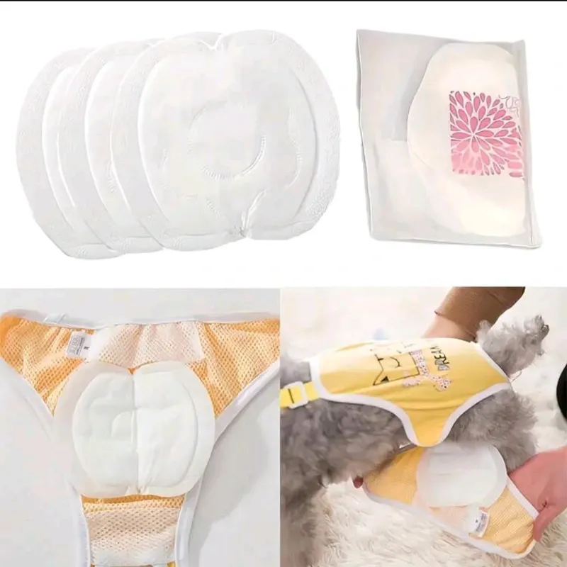 Protectores íntimos para mascotas hembra