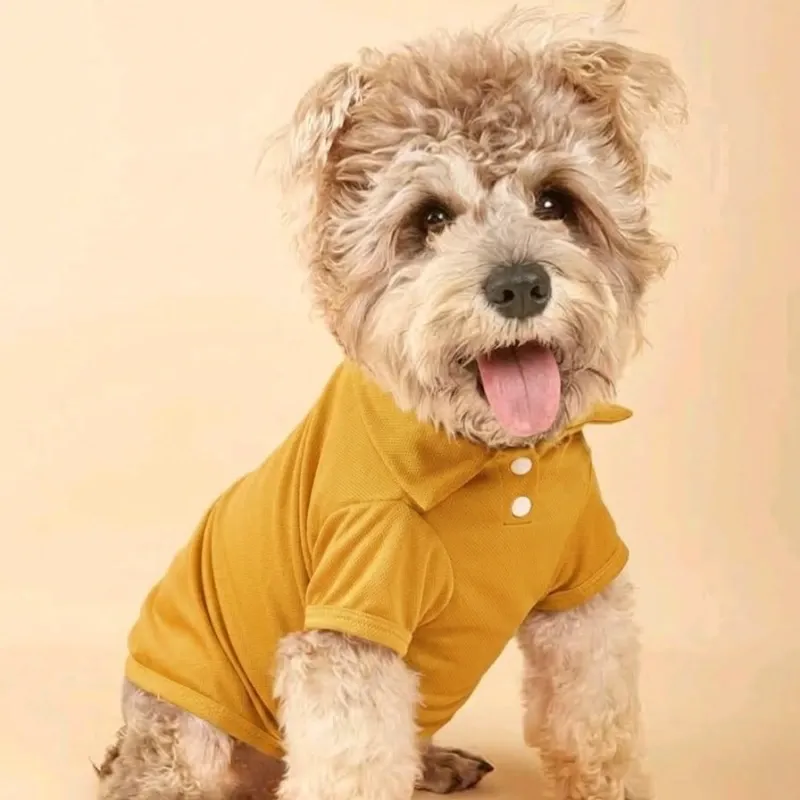 Pulover con cuello para mascotas