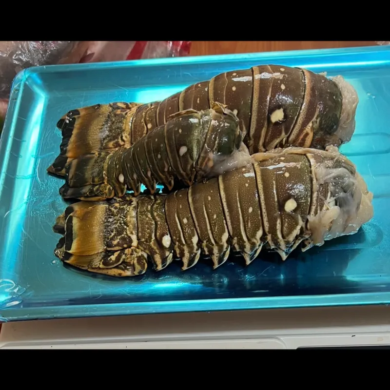 Langosta 2lb