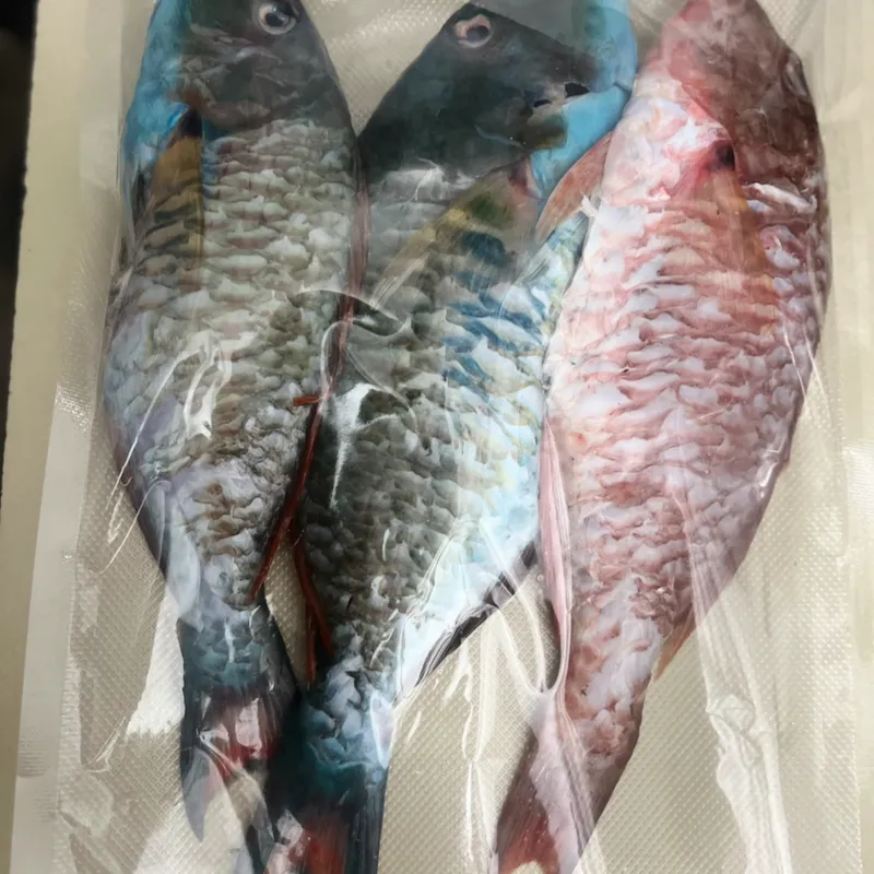 Pescado Loro 2lb