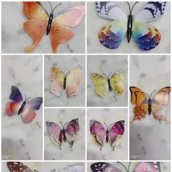 Imanes de Mariposa Medianos