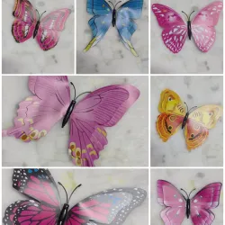Imanes de Mariposas Grandes