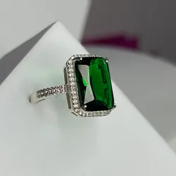 Anillo 2401