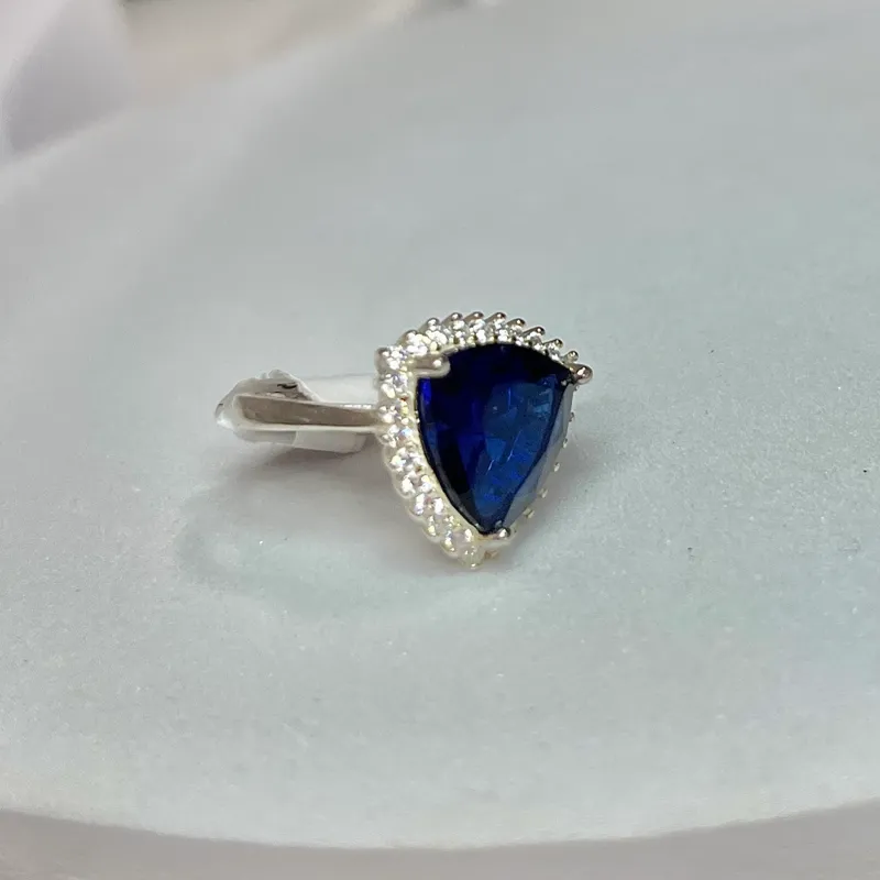 Anillo 2412