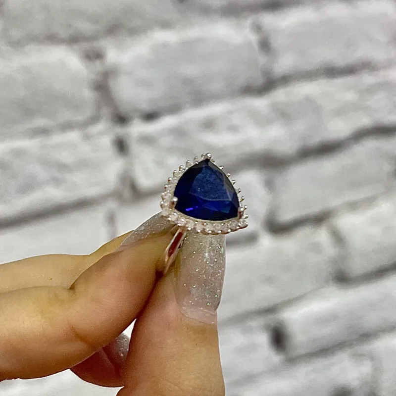 Anillo 2412