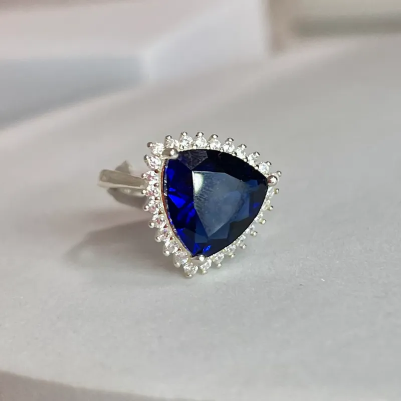 Anillo 2412