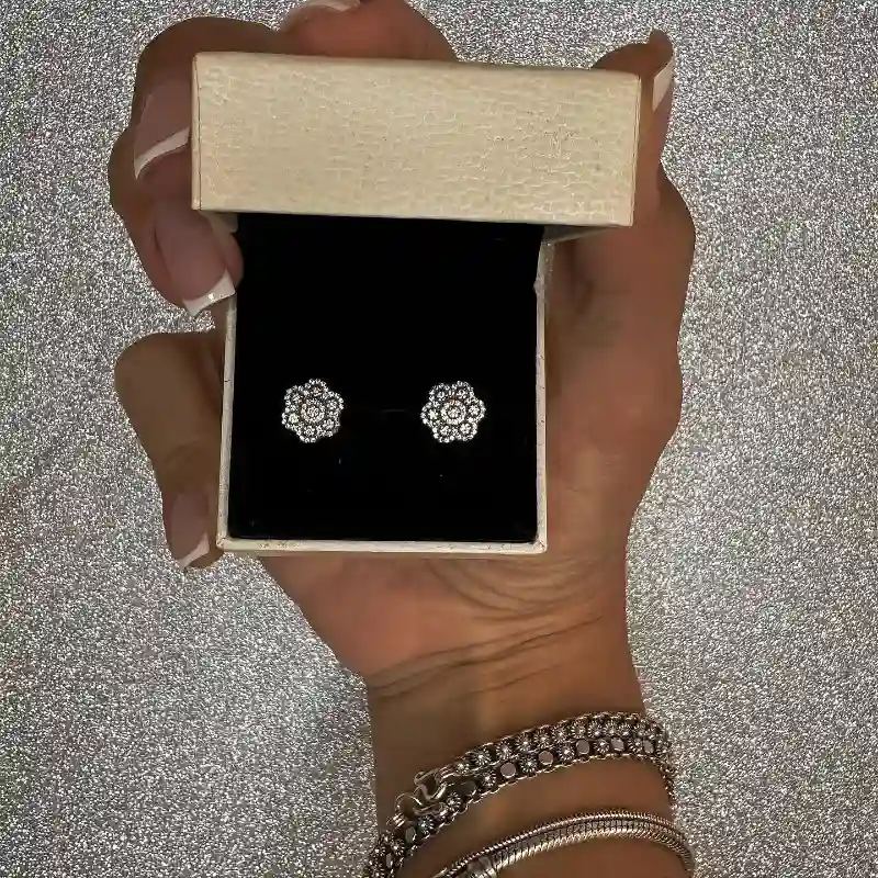 Aretes Pandora 41