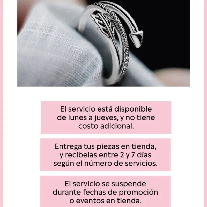 Servicios de limpieza 