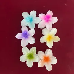 Pellizcos Hawainos Grandes Modelo 2