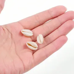Caracolas naturales 
