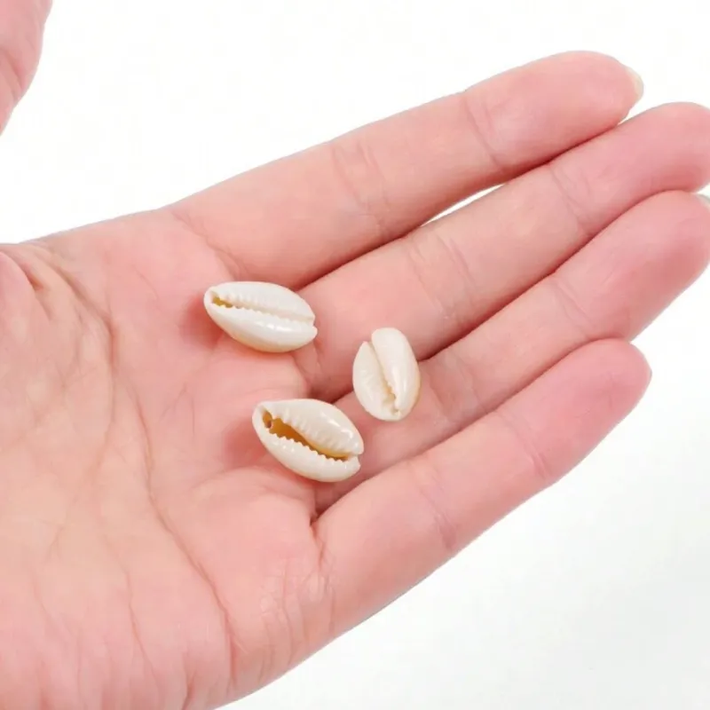 Caracolas naturales qué hora es ?