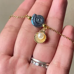 Conchas