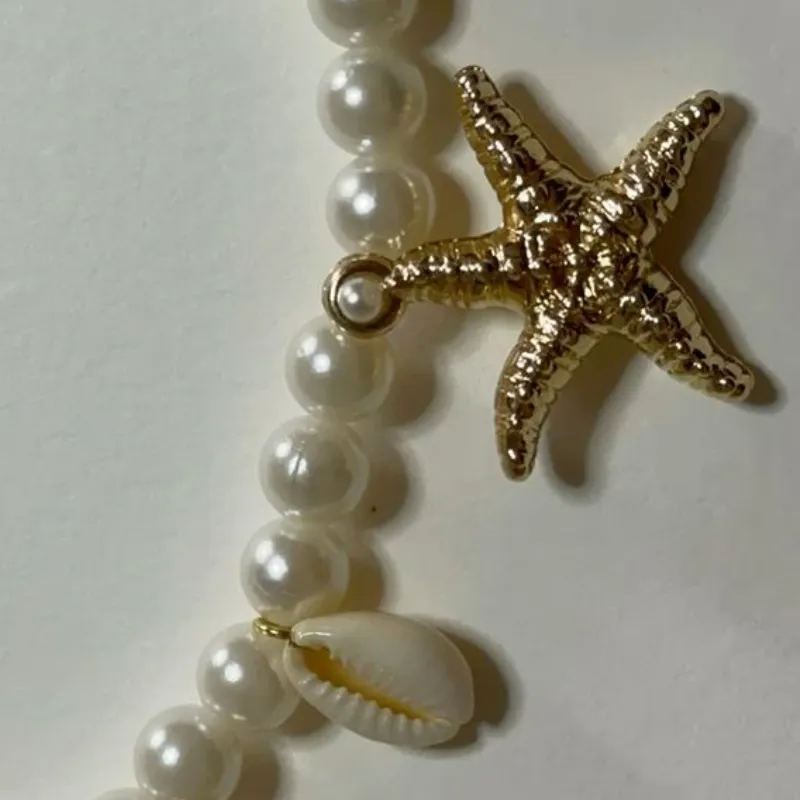 Estrella de mar y caracoles 
