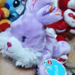 Conejo Modelo  4