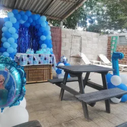 Decoración Frozen 4