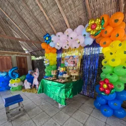 Decoración Temática Moana