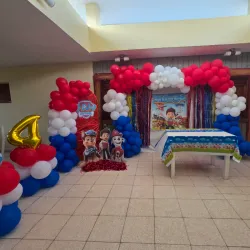 Decoración Temática Paw Patrol