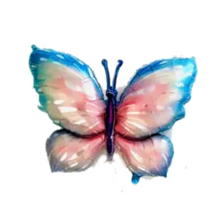 Globo Mariposa