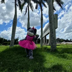 Entrega Sorpresa con Mascota "Jollie"