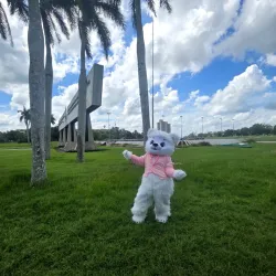 Entrega Sorpresa con Mascota "Sir Lux"