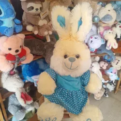 Peluche Conejo Vestido A