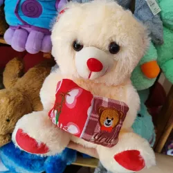 Peluche Oso Corazón Modelo 7