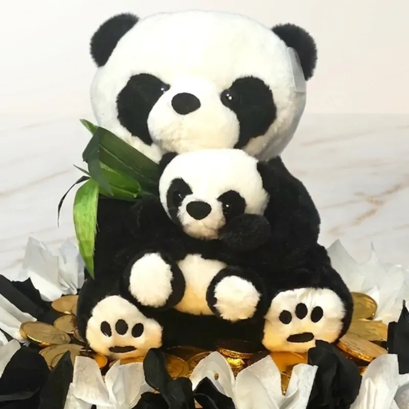 Regalo Sopresa "Panda's Câlin"