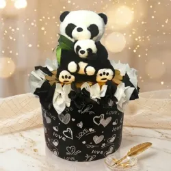 Regalo Sopresa "Panda's Câlin"
