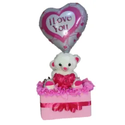 Regalo Sorpresa ¨Teddy Love¨ 