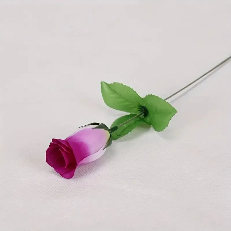 Rosa Rosada