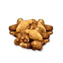 Malanga