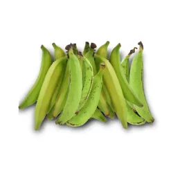 Platanos Machos