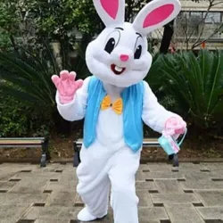 Conejo 🐰 