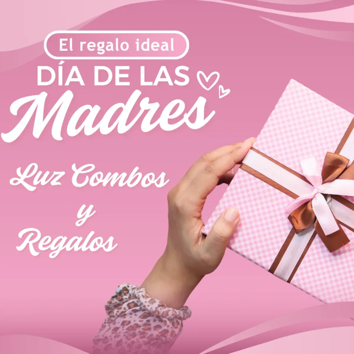 Luz Combos y Regalos