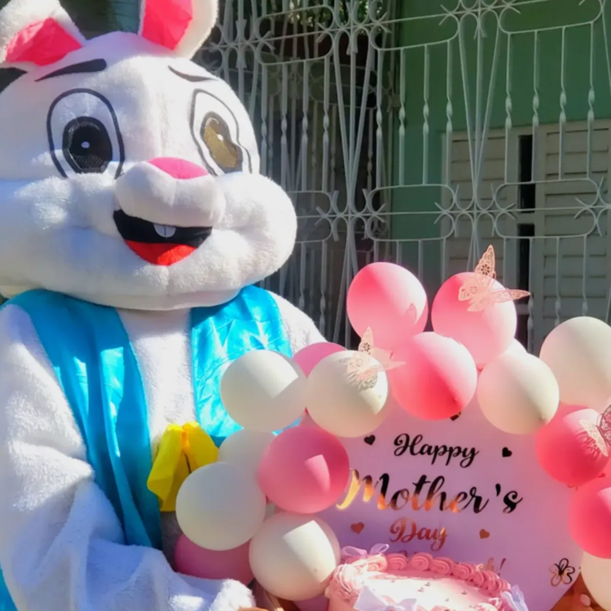 Luz Combos y Regalos