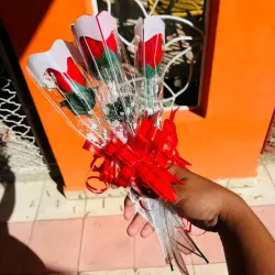 Flor para la más hermosa 🌹