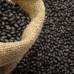 Frijol Negro 