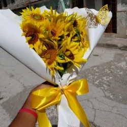 Girasoles 