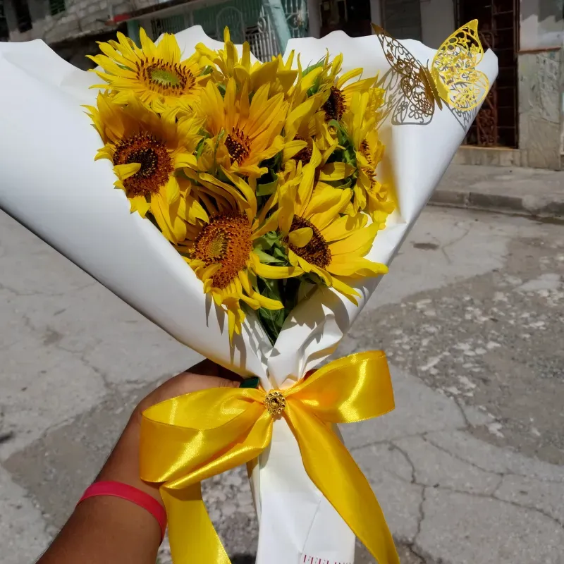 Girasoles 