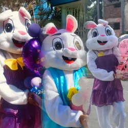 🚫INFORMACIÓN IMPORTANTE 🚫