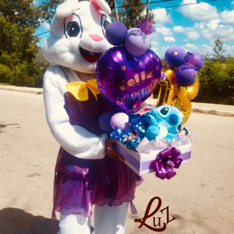 🎤Presentadora y Animación 🐰