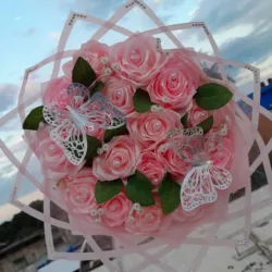 🩷💝Rosa 🌹