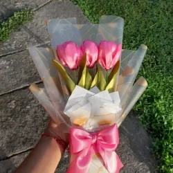 🌷Tulipanes Eternos 🌷