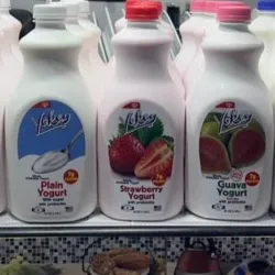 Yogurt