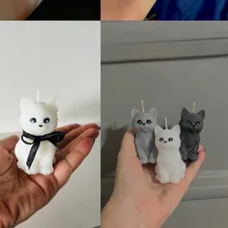 Gato 🐈