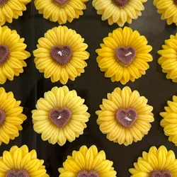 Girasoles o margaritas centro 🤍