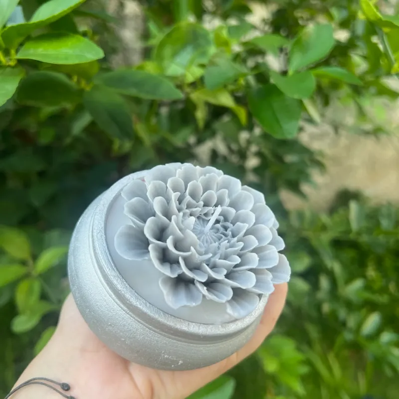 Maceta plateada con flor 🌺