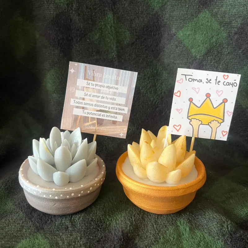 Macetas con flores positivas 2 🩶💛