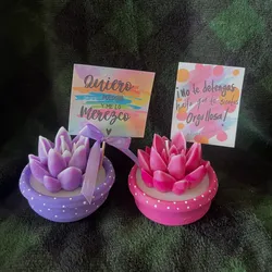 Macetas con frases positivas 1💗💜